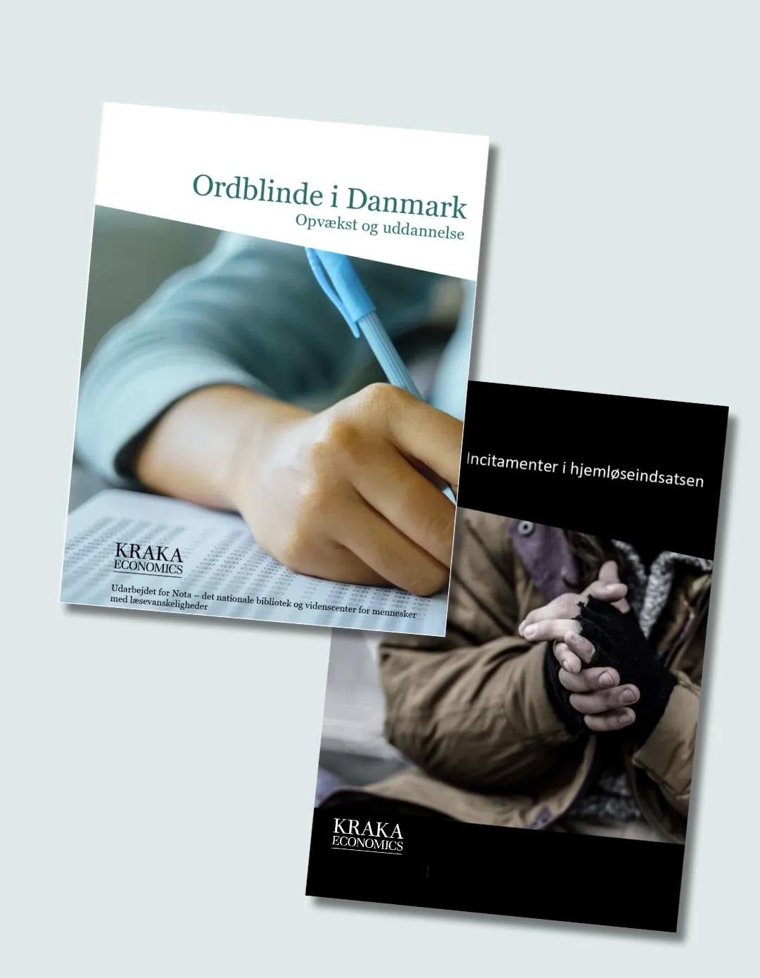 Kraka Economics Image